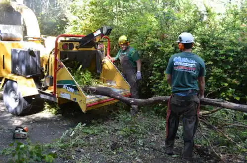 tree services Chariton